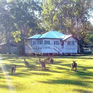 Lodge Weyba Noosa & Kangaroos, Peregian Beach